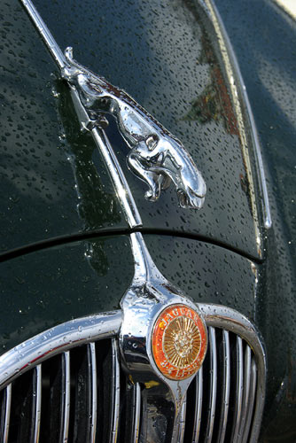 Jaguar